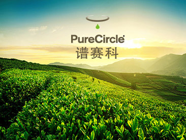譜賽科網站建設