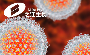 之江生物