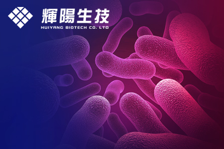 輝陽生物