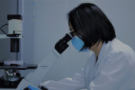 糖嶺生物